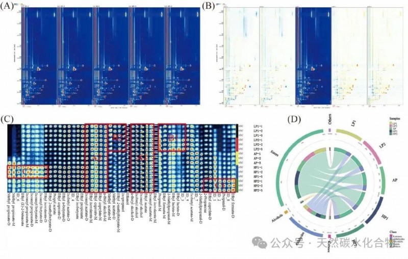 微信圖片_2026-04-03_164642_908