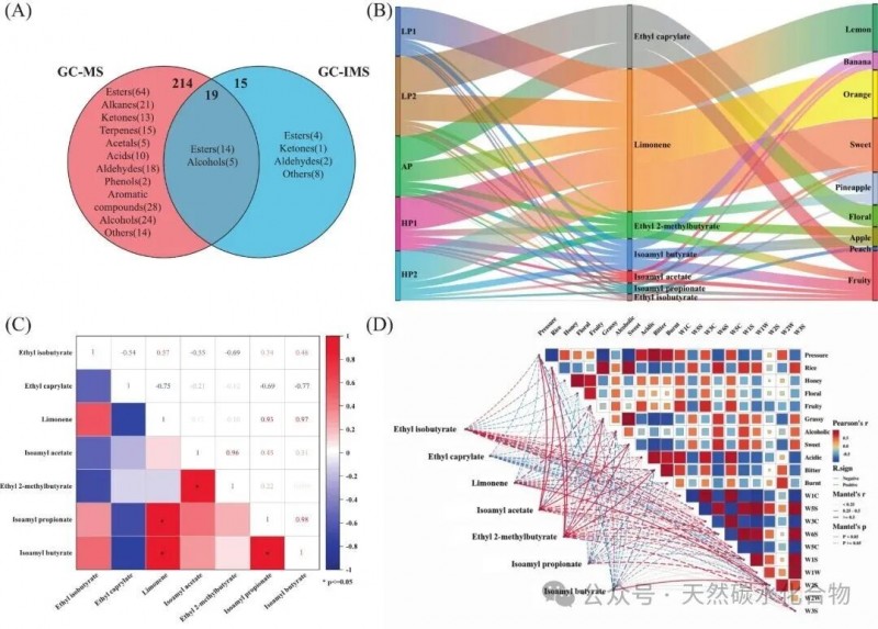 微信圖片_2026-04-03_164734_117
